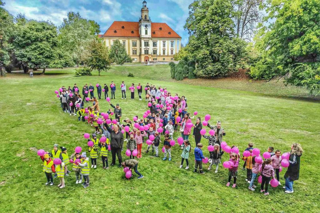 DAN RUŽIČASTE VRPCE